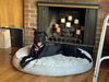 adoptable Dog in , AK named Ms Twiggy