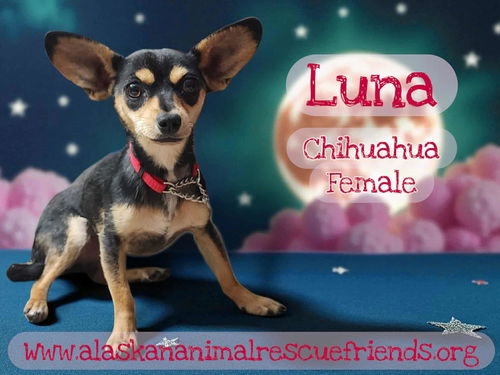Luna