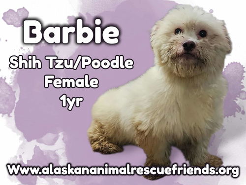 Barbie
