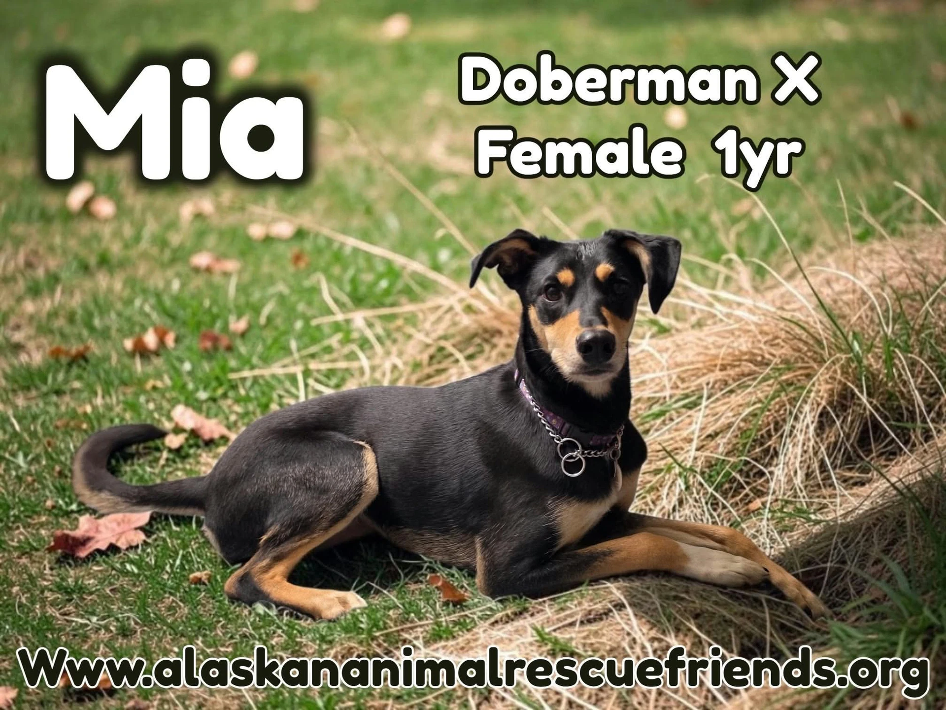 Mia
