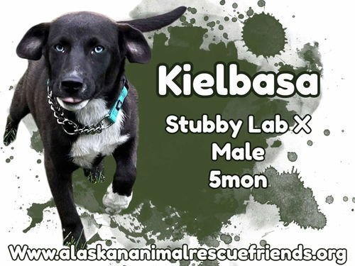 Keilbasa