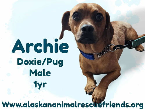 Archie