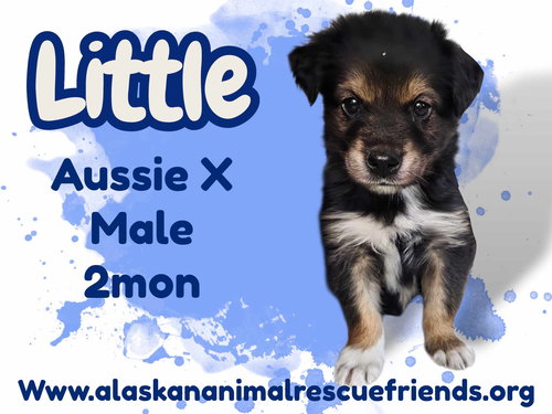 Little