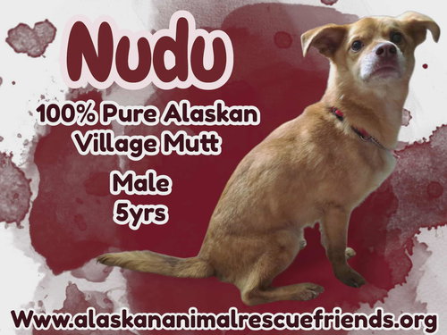 Nudu