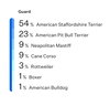 Bull