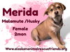 Merida