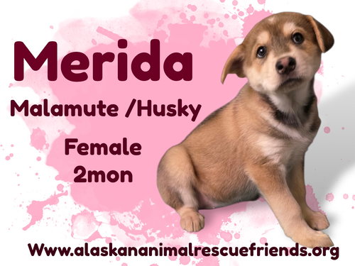 Merida