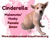 Cinderella