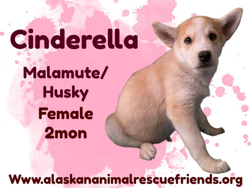 Cinderella