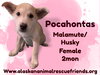 Pocahontas