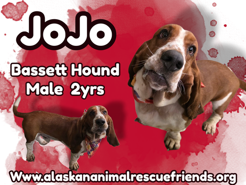 JoJo