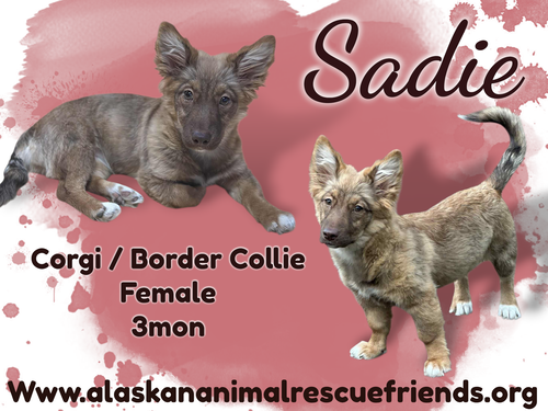 Sadie