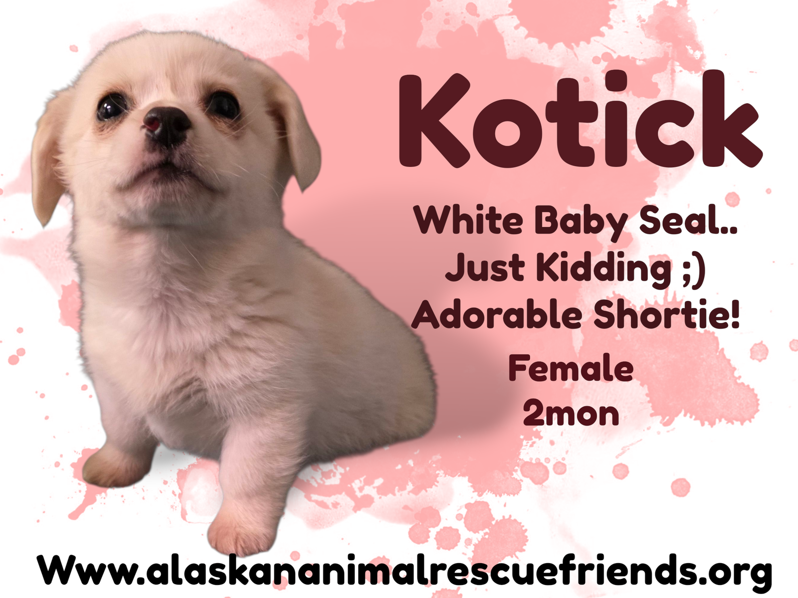 Kotick