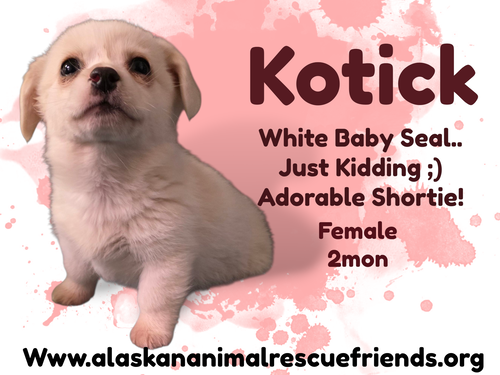 Kotick