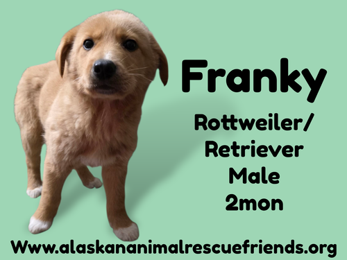 Franky