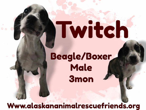 Twitch