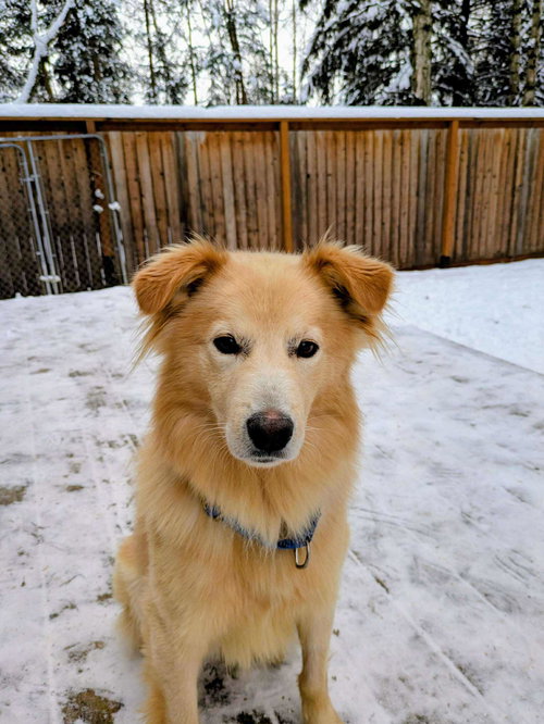 Olaf