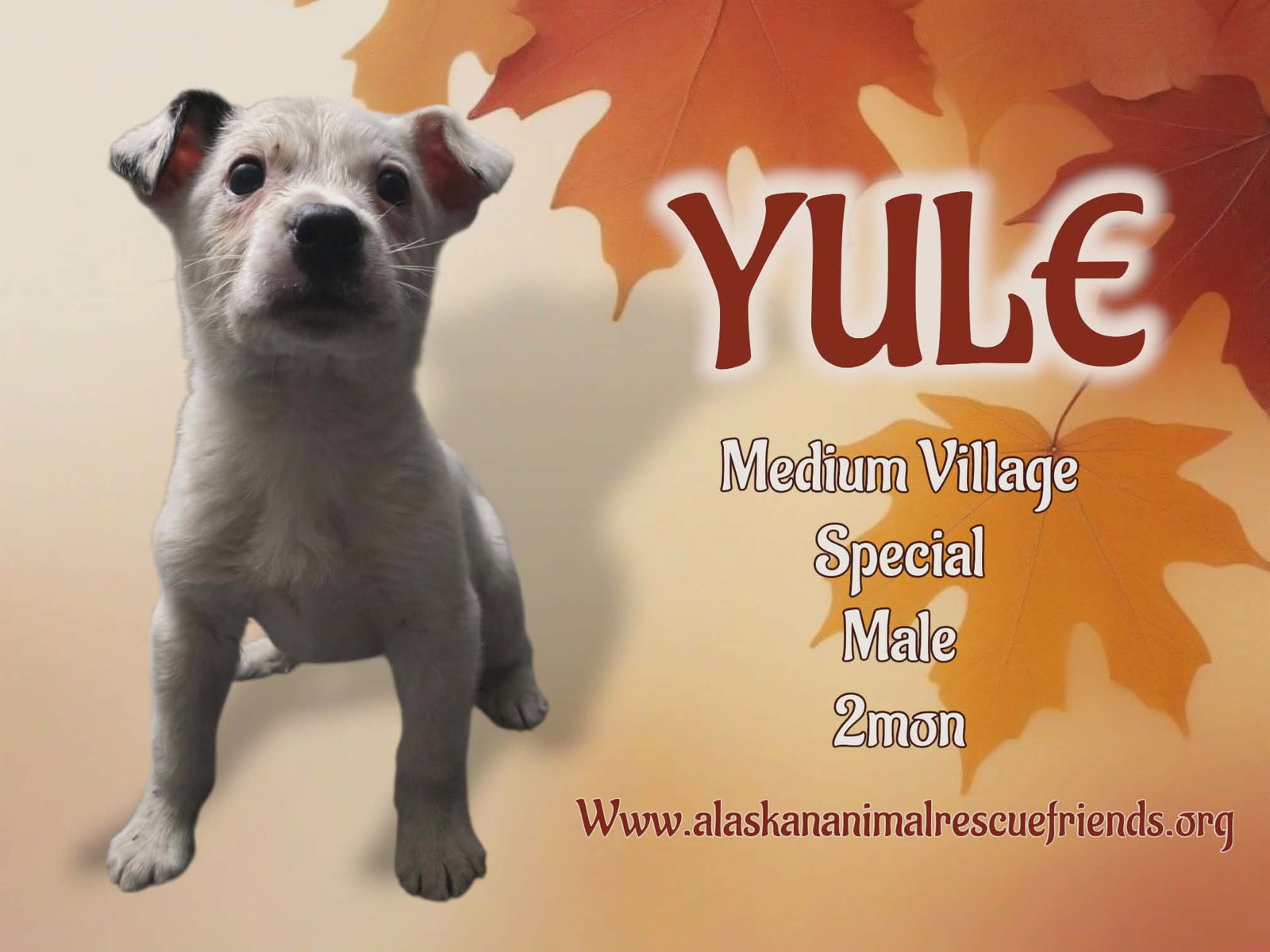 Yule