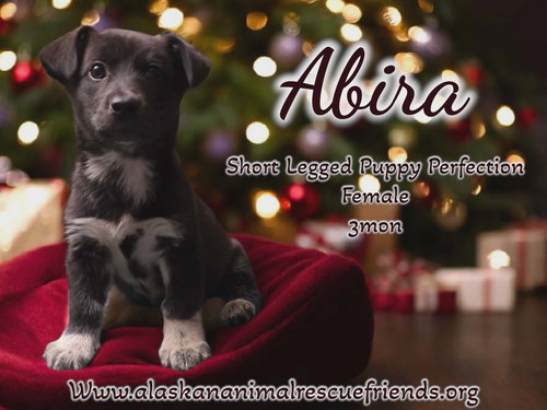 Abira