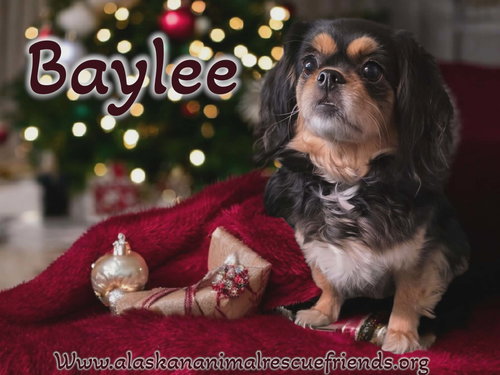 Baylee