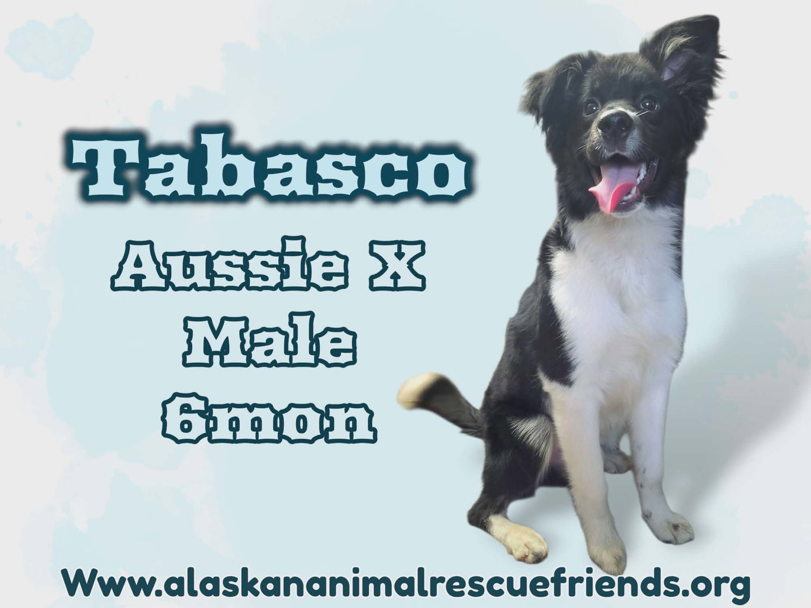 Tabasco