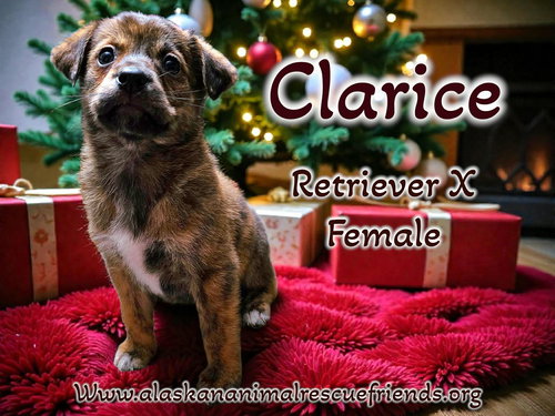 Clarice