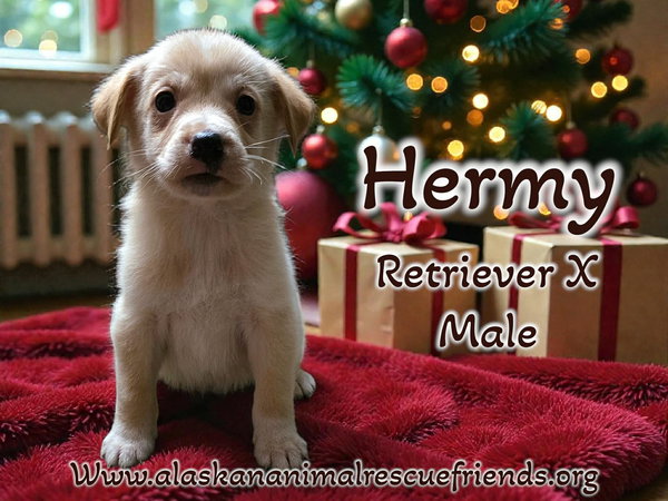 Hermie