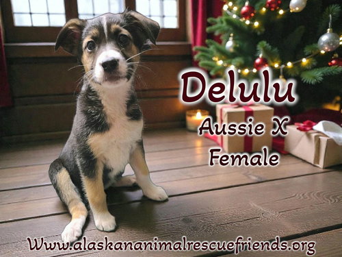 Delulu