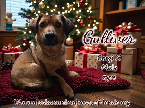 Gulliver