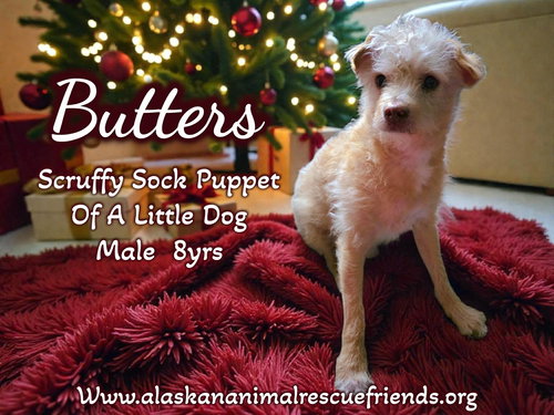Butters