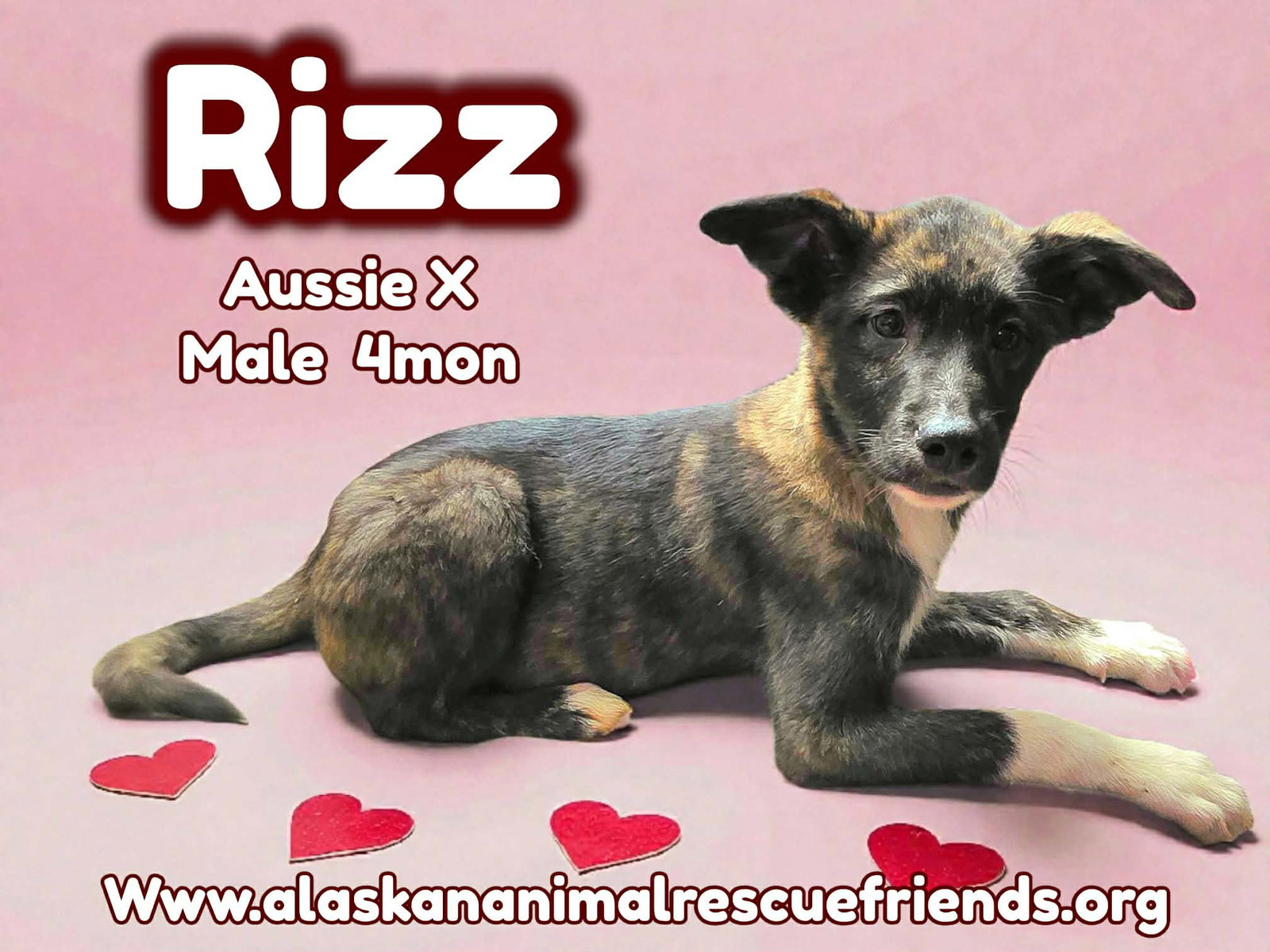 Rizz