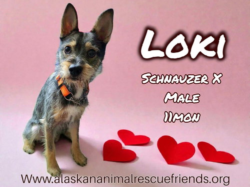 Loki