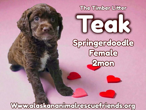 Teak