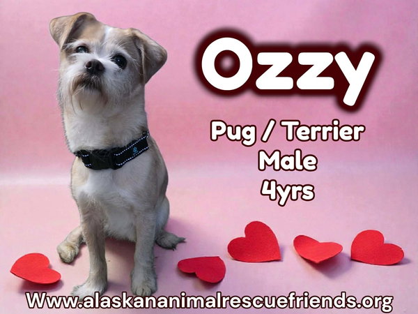 Ozzy