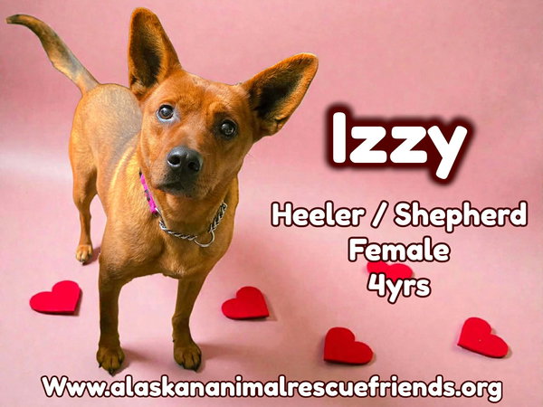 Izzy