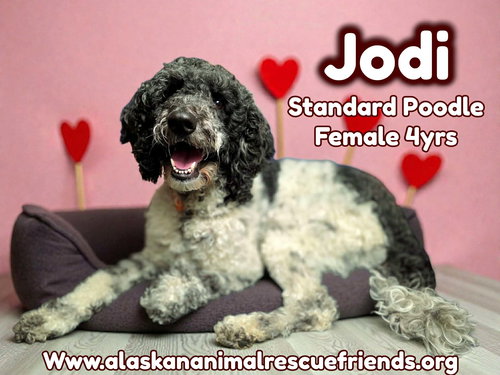 Jodi
