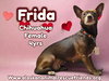 Frida