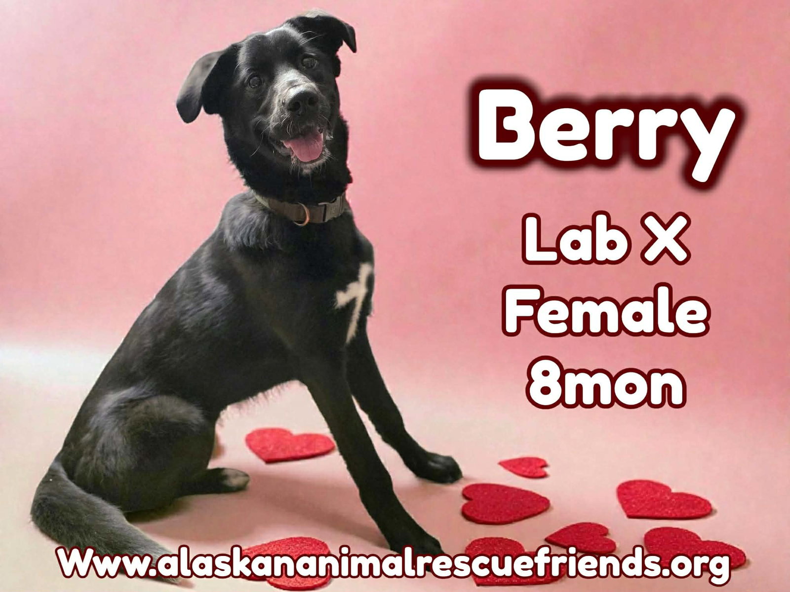 Berry