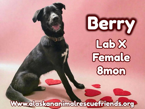 Berry