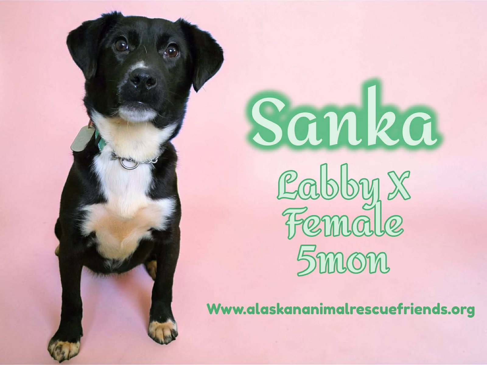 Sanka