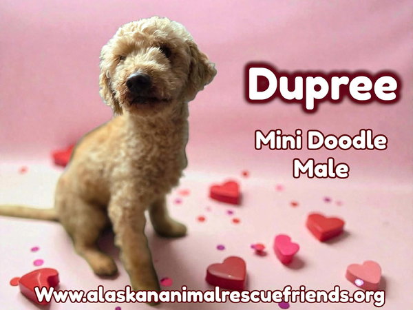 Dupree