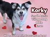 Korky
