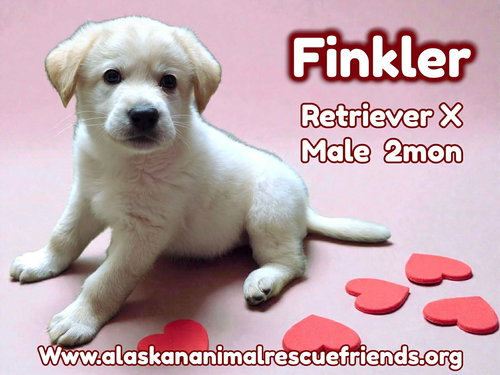 Finkler