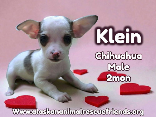 Klein