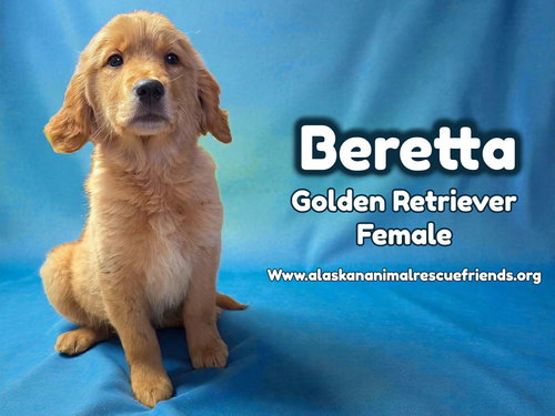 Berreta