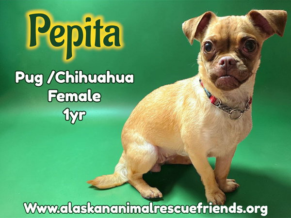 Pepita