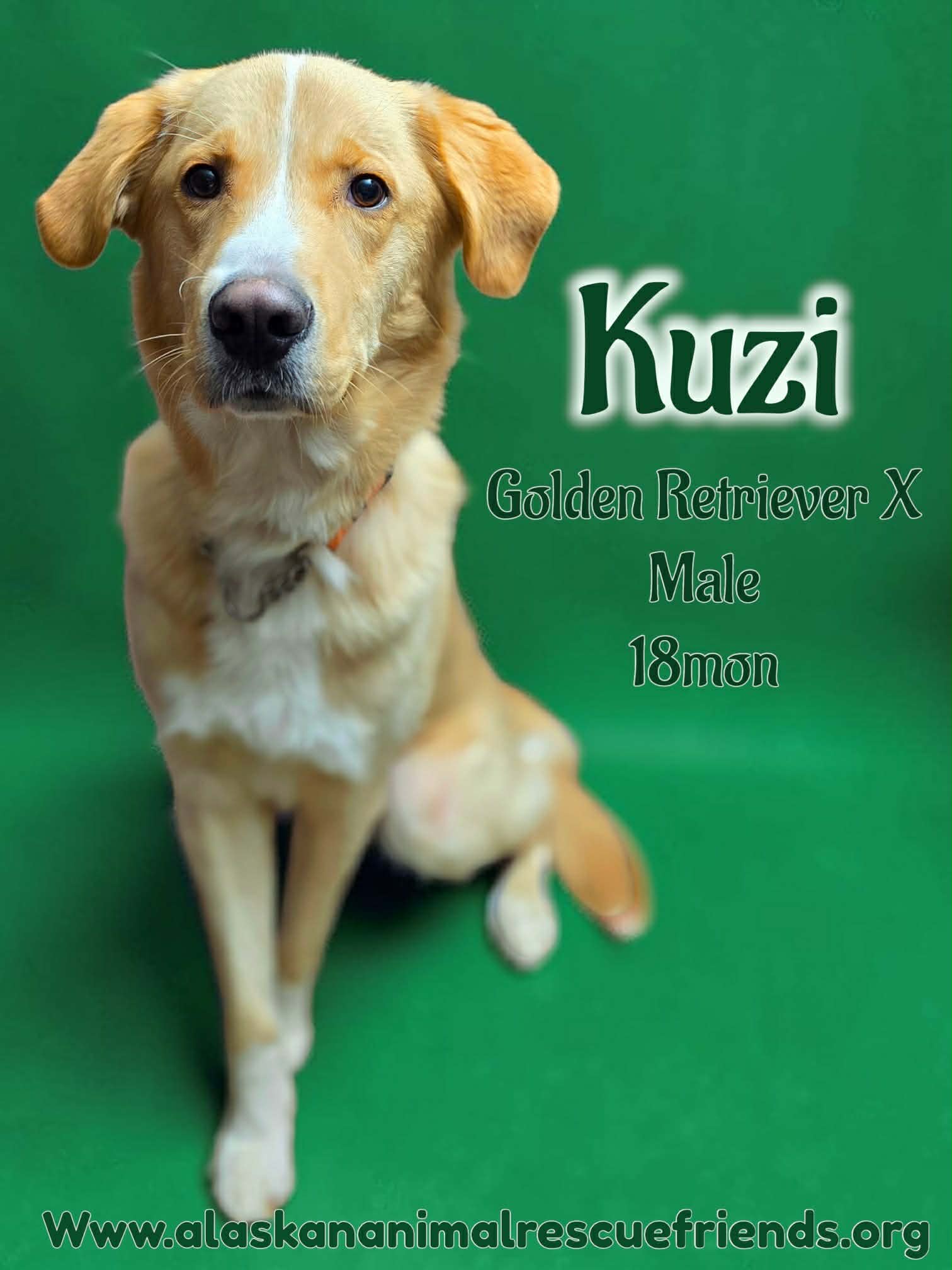 Kuzi Image