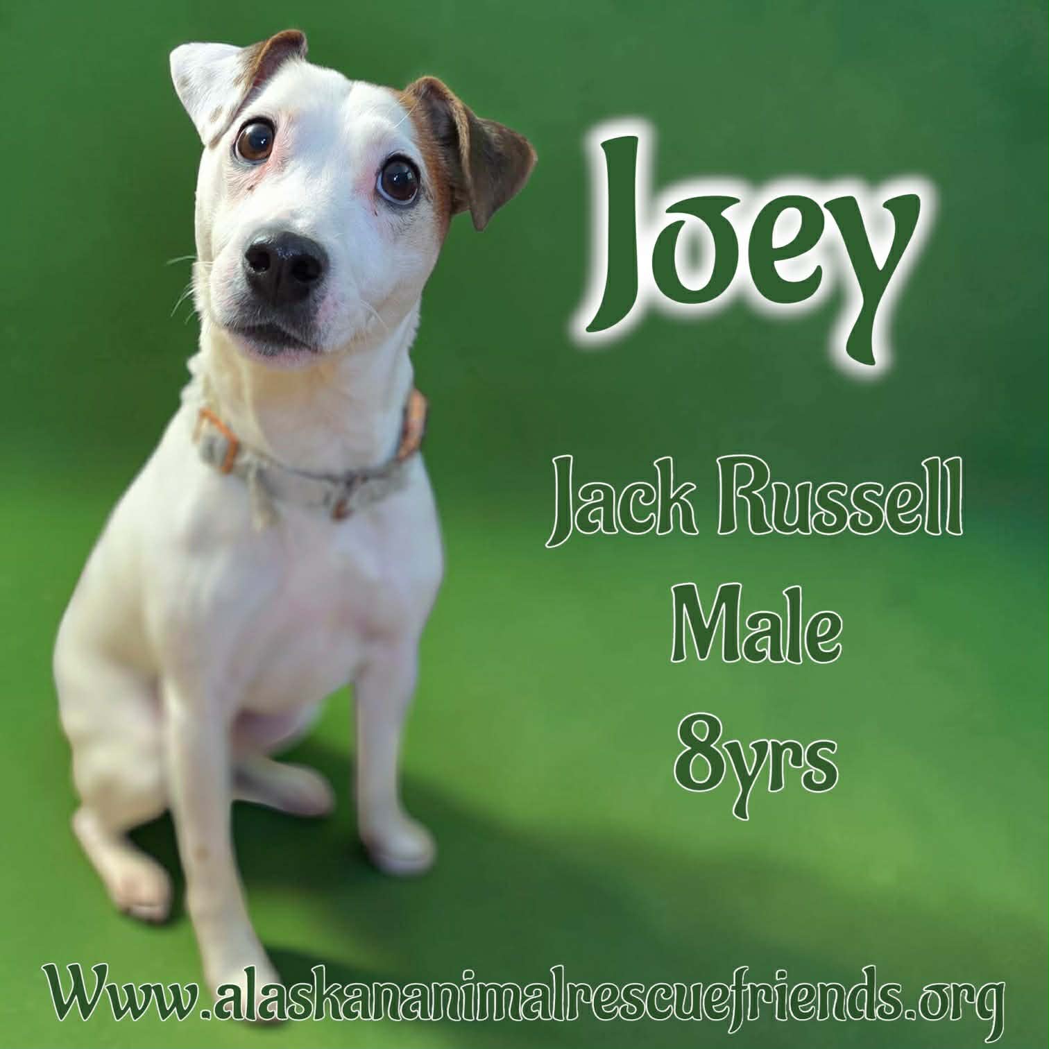 Joey