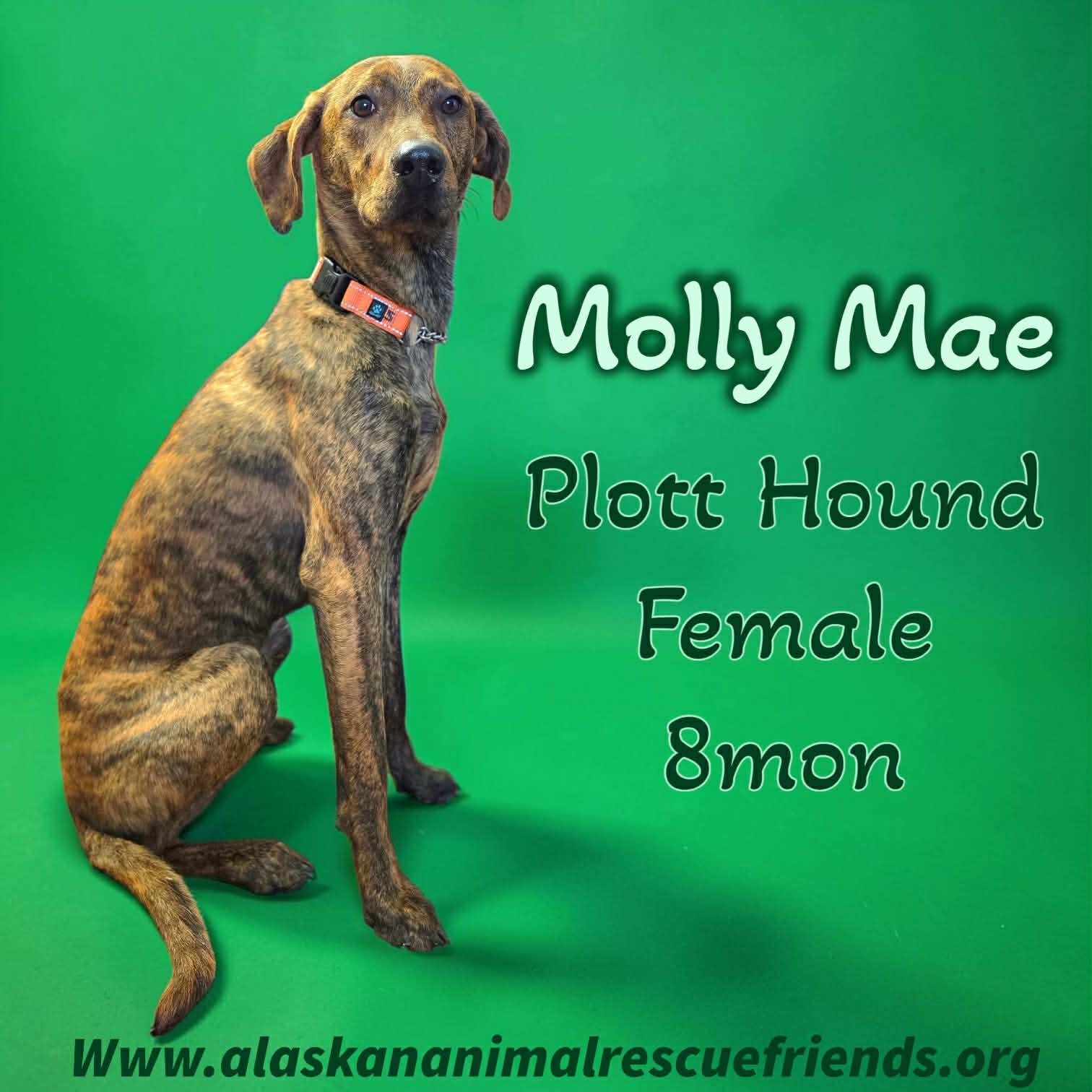 Molly Mae