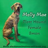 Molly Mae